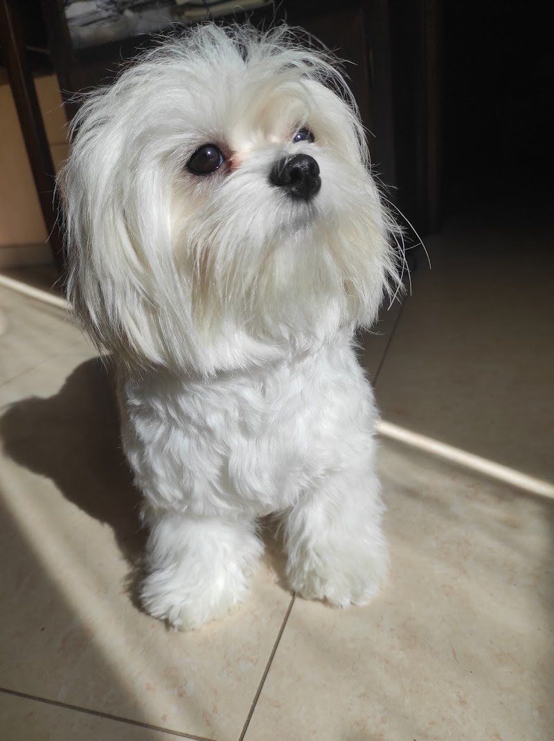 Wild Passione & Natura - Foto 1