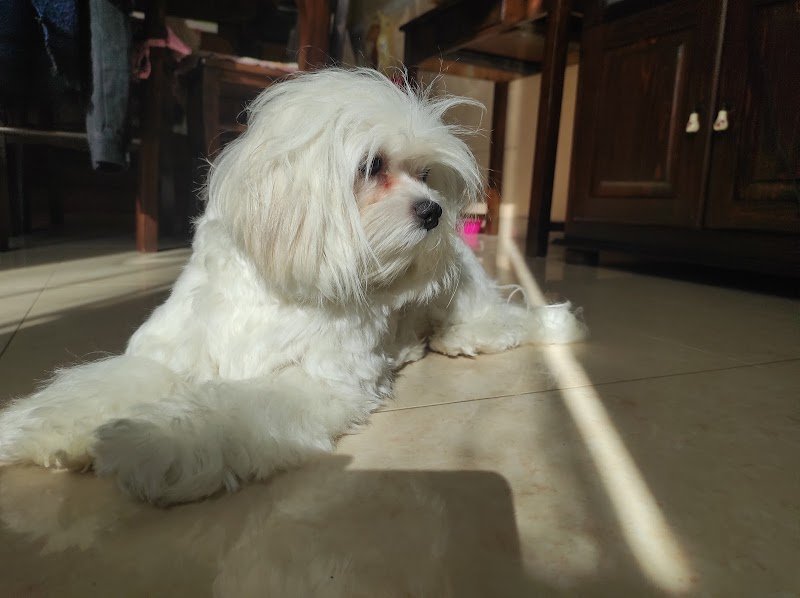 Wild Passione & Natura - Foto 2