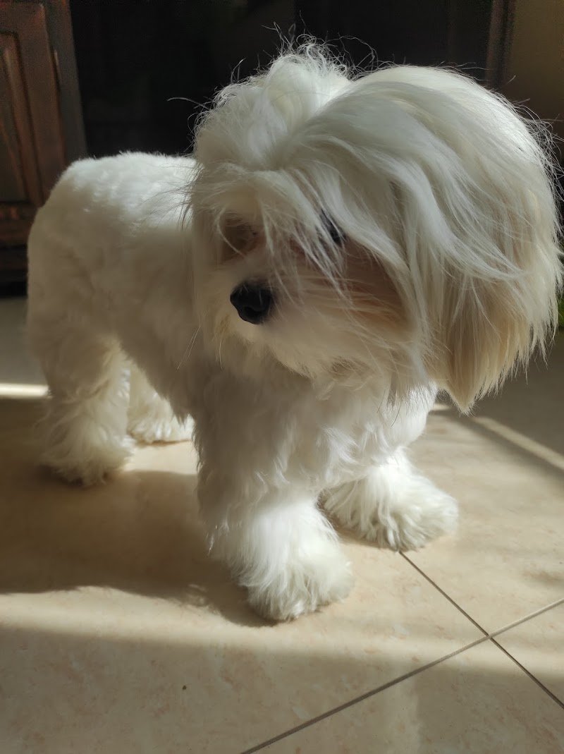 Wild Passione & Natura - Foto 3