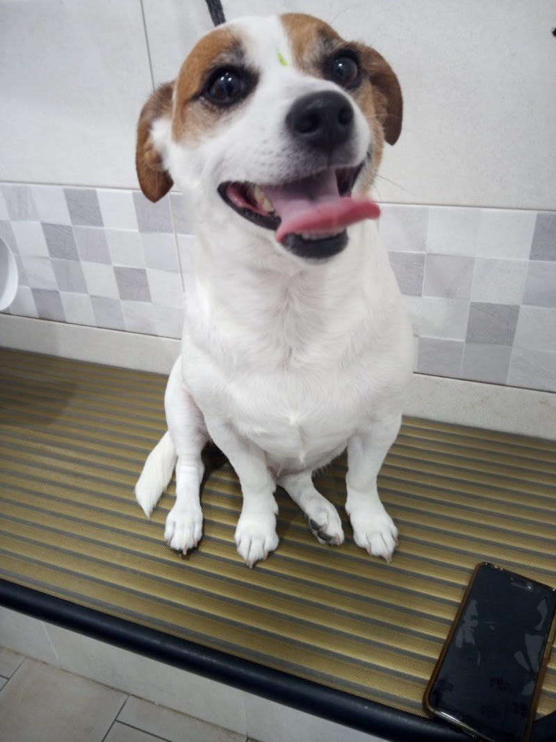 Willy & Pepe - Foto 5