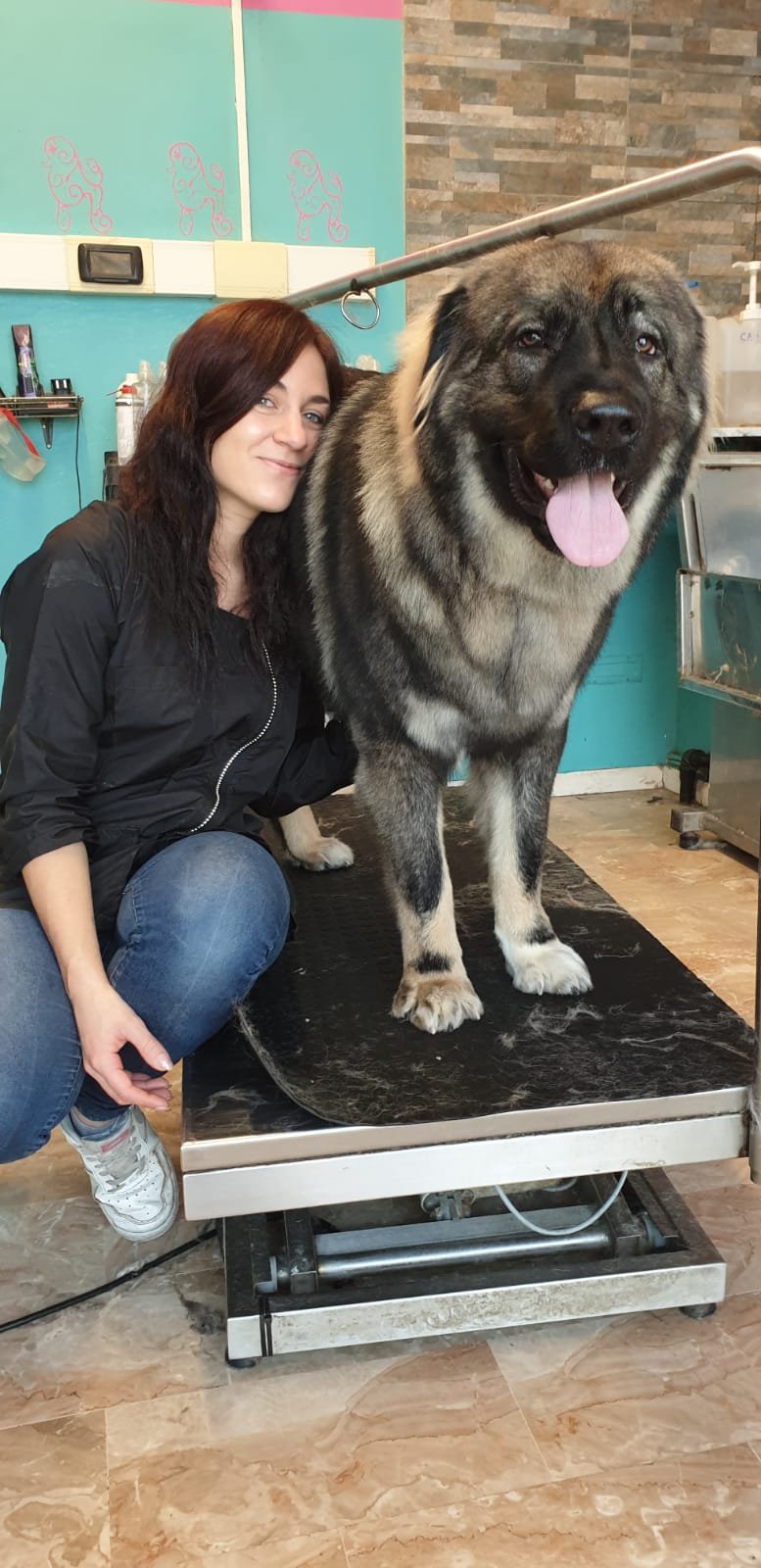 Wonderfulpet toelettatura e boutique di Marina Battistini - Foto 3