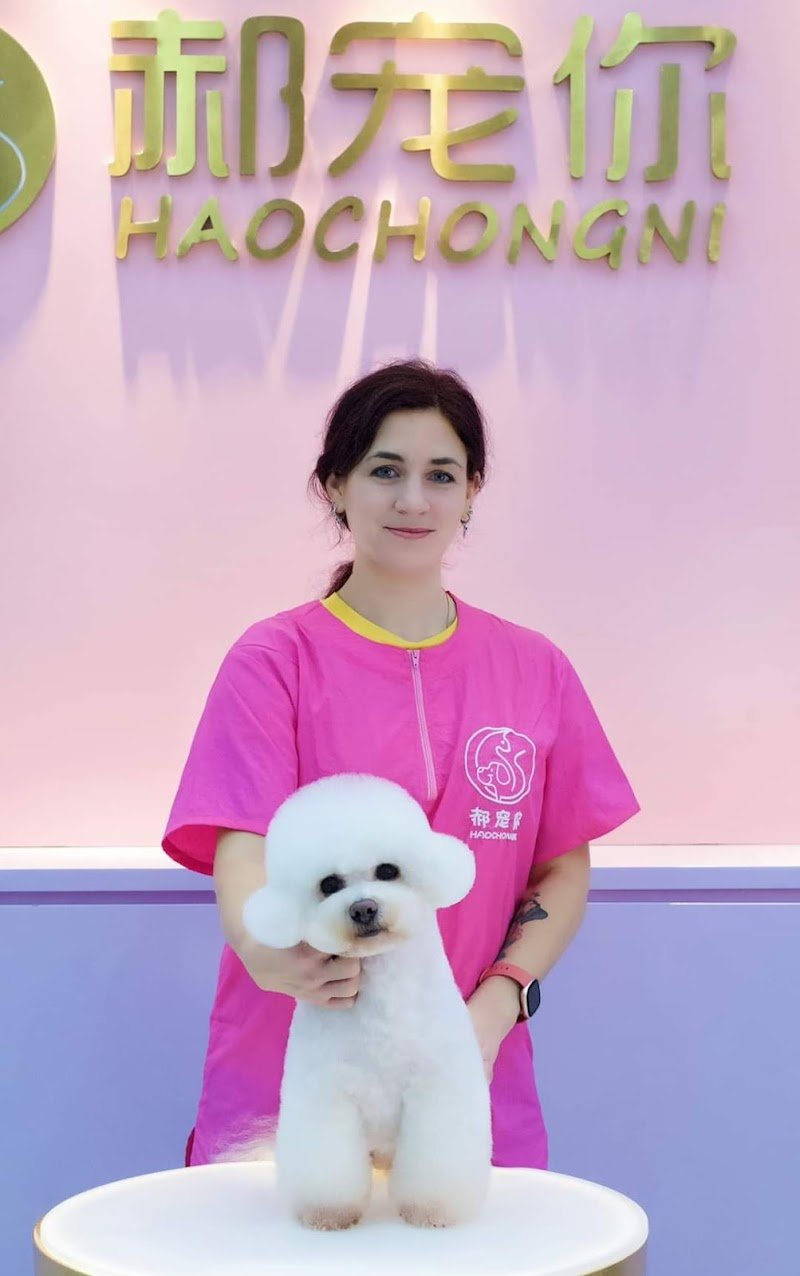 Wonderfulpet toelettatura e boutique di Marina Battistini - Foto 4