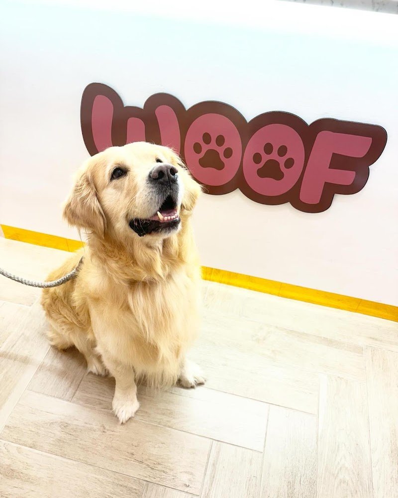 Woof Pet Shop & Beauty SPA - Foto 3