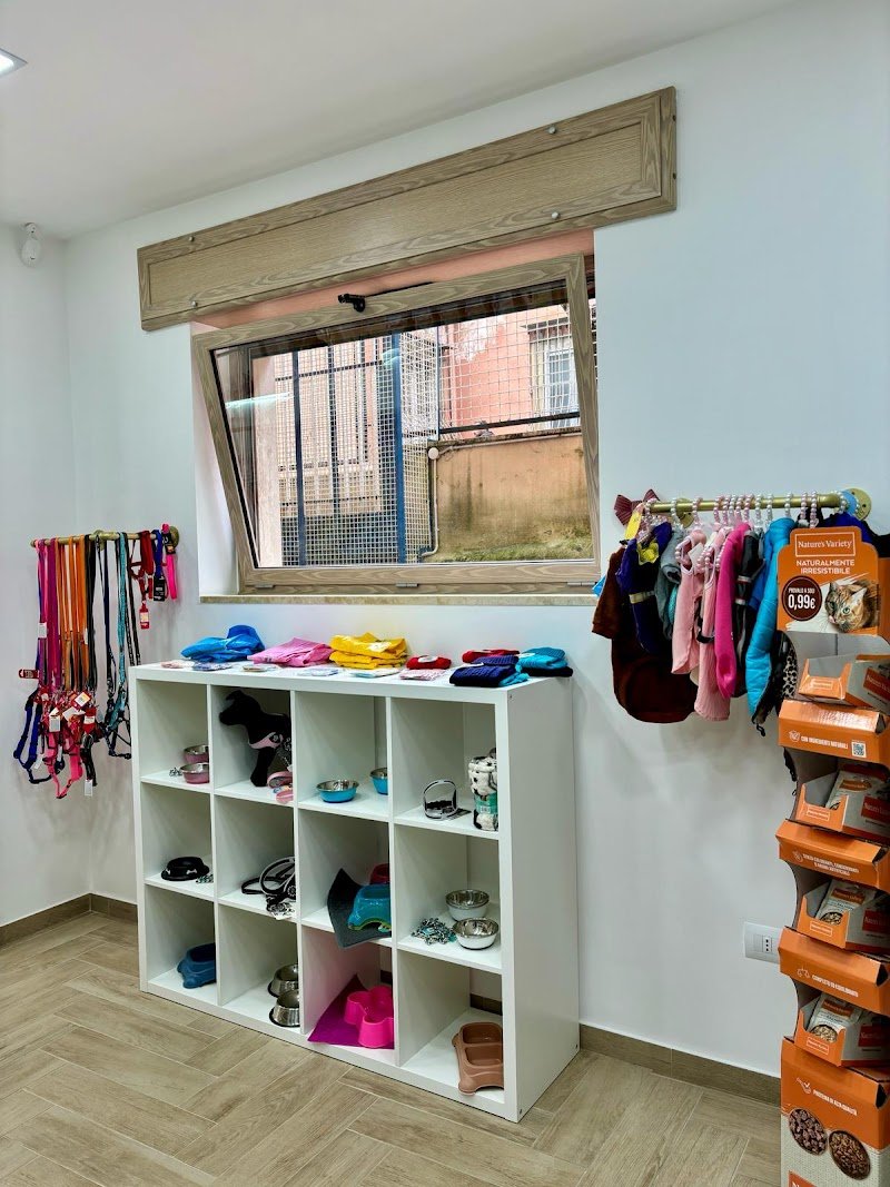 Woof Pet Shop & Beauty SPA - Foto 4