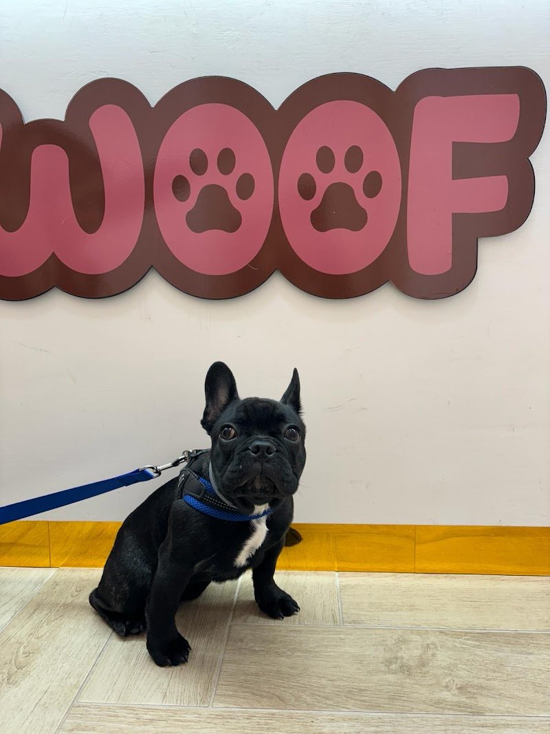 Woof Pet Shop & Beauty SPA - Foto 6