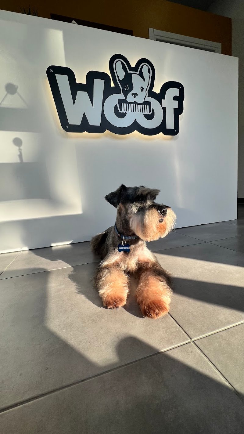 Woof Toelettatura | Alessandria - Foto 3