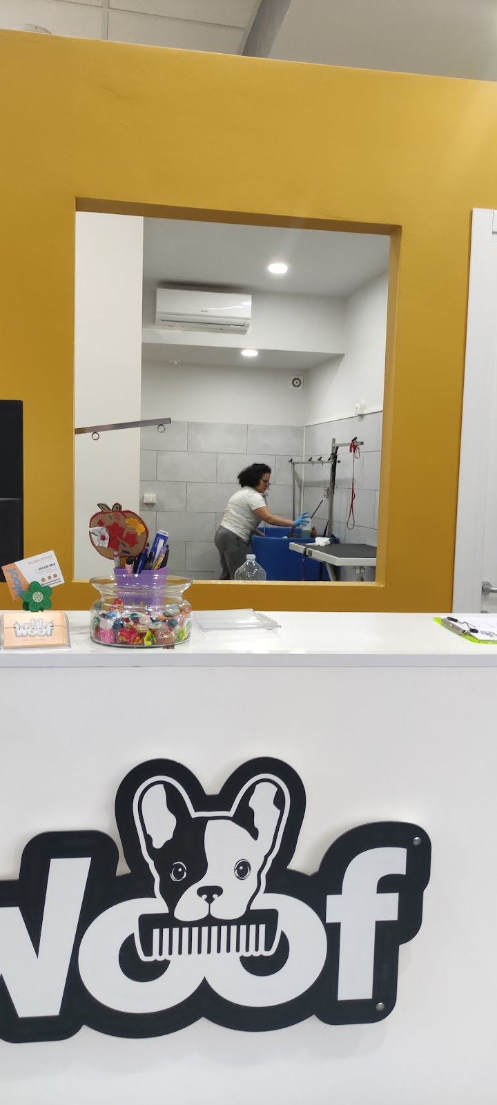 Woof Toelettatura | Alessandria - Foto 6