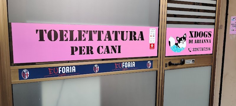 XDOGS Toelettatura di Arianna Davi' - Foto 1