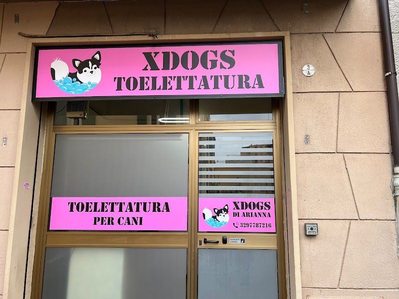 XDOGS Toelettatura di Arianna Davi' - Foto 2