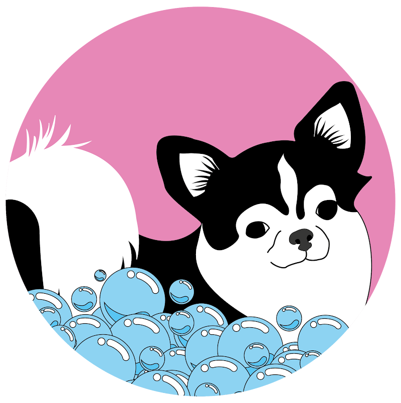 XDOGS Toelettatura di Arianna Davi' - Foto 3