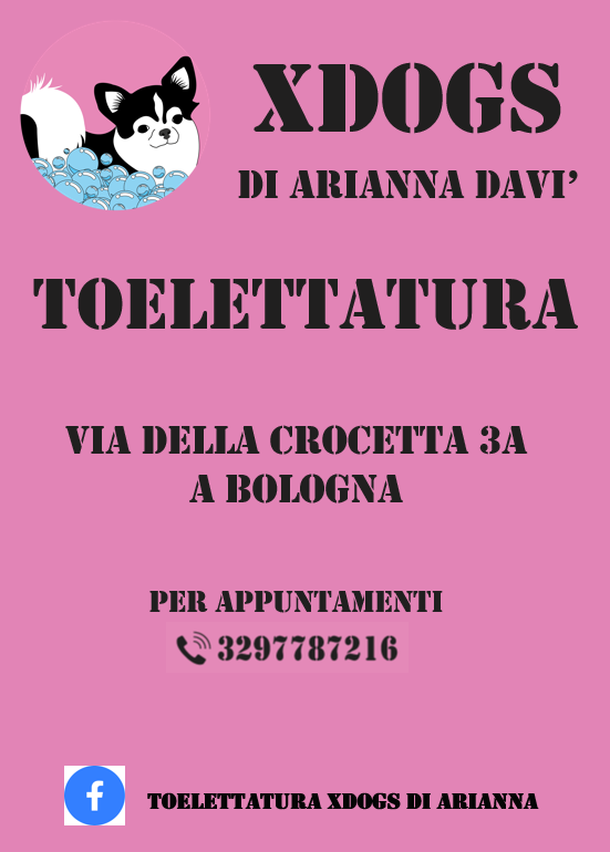 XDOGS Toelettatura di Arianna Davi' - Foto 4