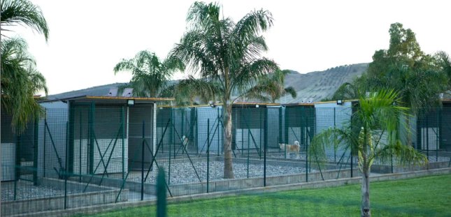 Your Dog Resort - Foto 4