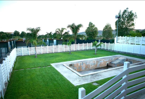 Your Dog Resort - Foto 5