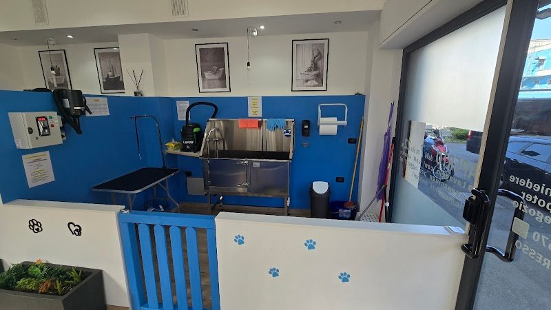 Zampa BRESSO Dog Wash Self Service - Foto 2