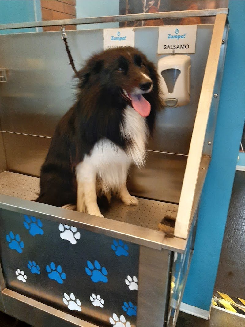Zampa! Dog Wash Self-Service - Foto 1