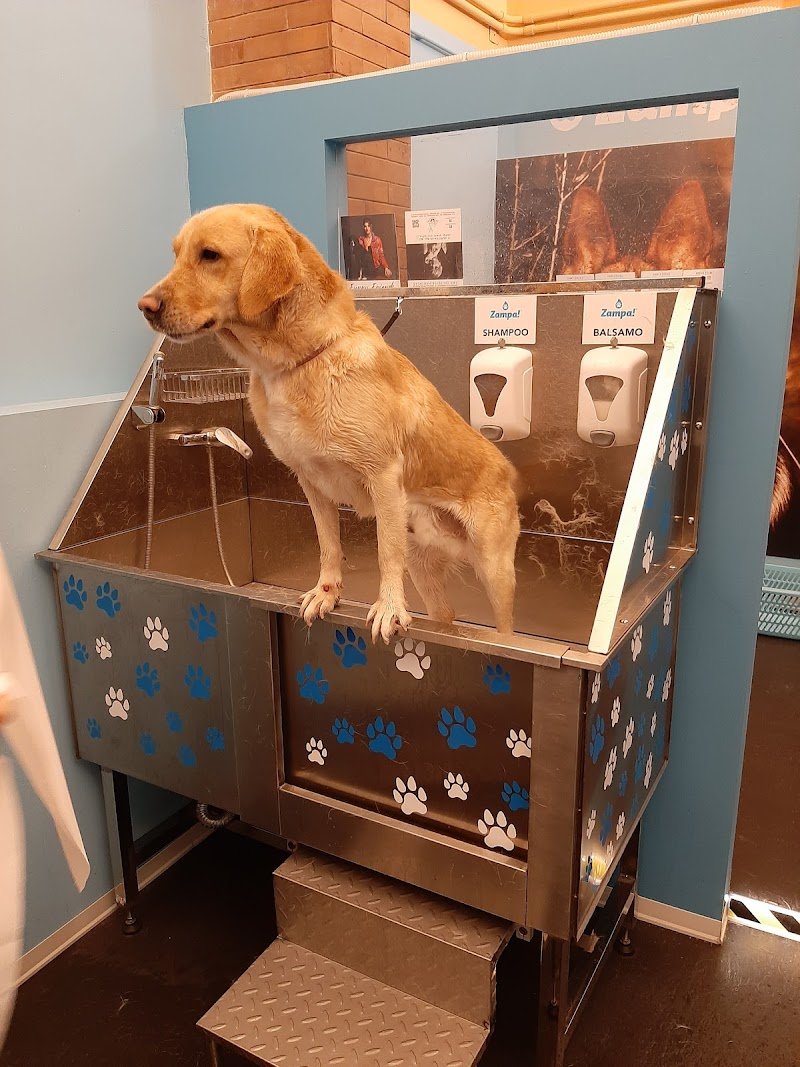 Zampa! Dog Wash Self-Service - Foto 3