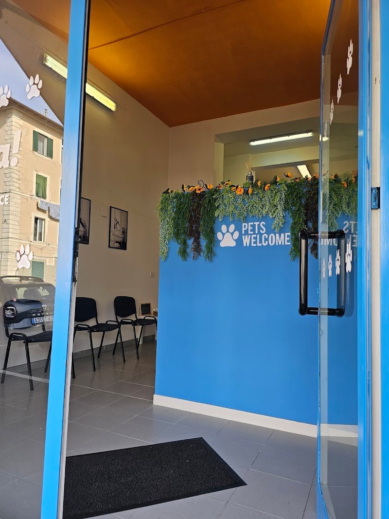 Zampa! Dog wash self service - Foto 1