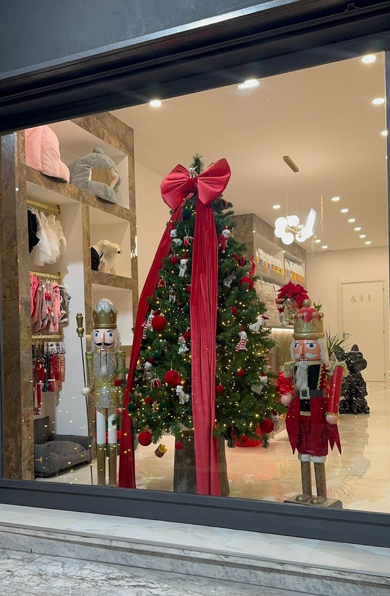 ZAMPA D'ORO - Foto 6