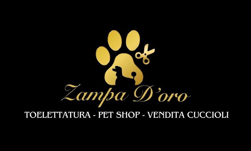 ZAMPA D'ORO - Foto 4