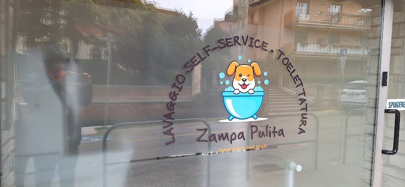 Zampa pulita - Foto 1