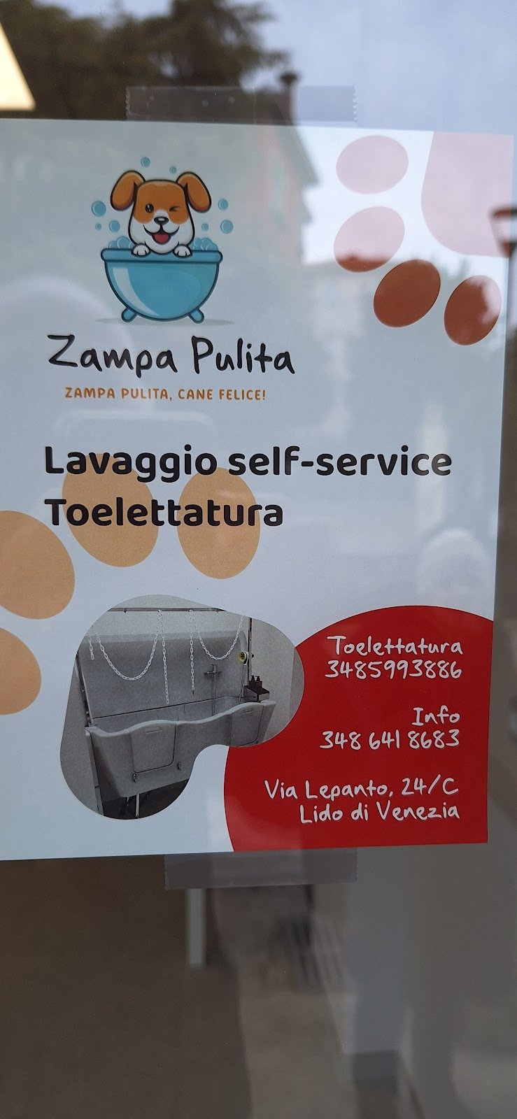 Zampa pulita - Foto 2