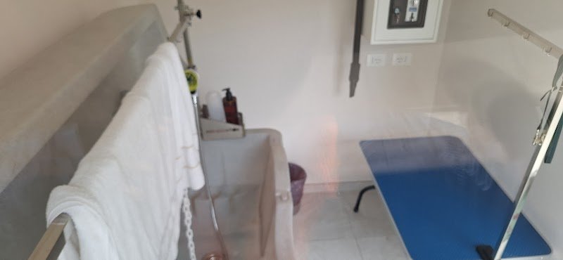 Zampa pulita - Foto 3