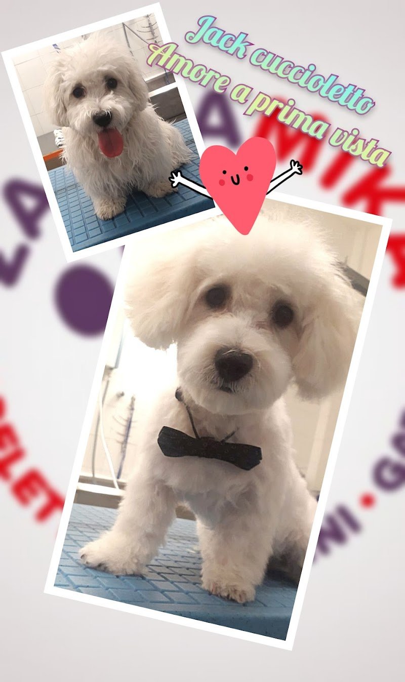 Zampamika di Micaela Ceppi - Foto 1