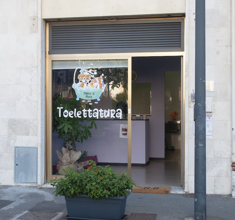 Zampe a mollo - Foto 1