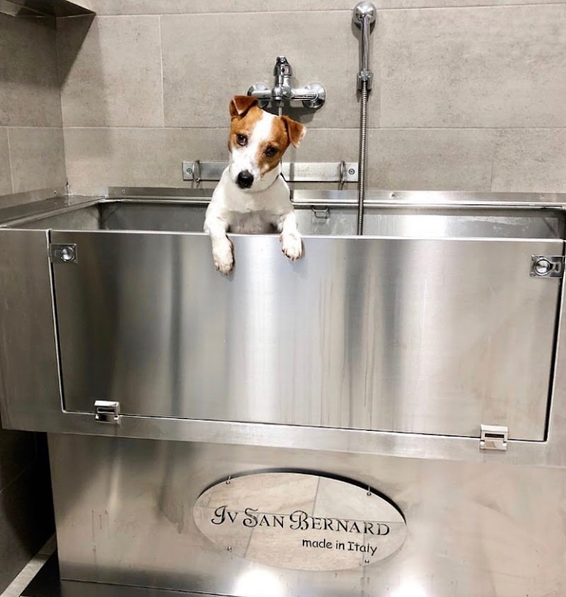 Zampe a Mollo - Foto 1