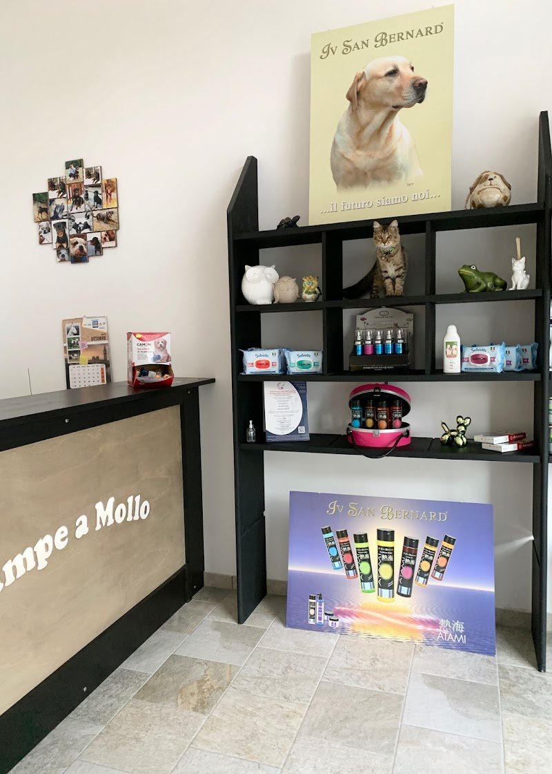 Zampe a Mollo - Foto 2