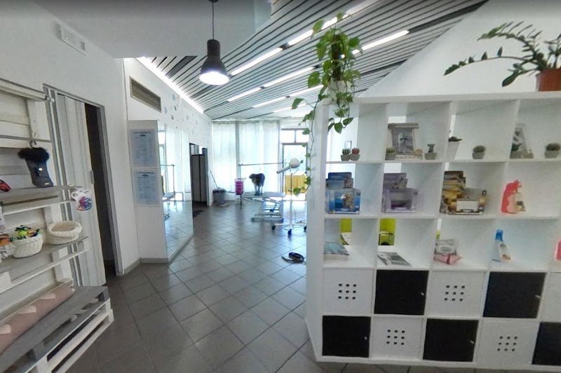 Zampe a Mollo Terni - Foto 1