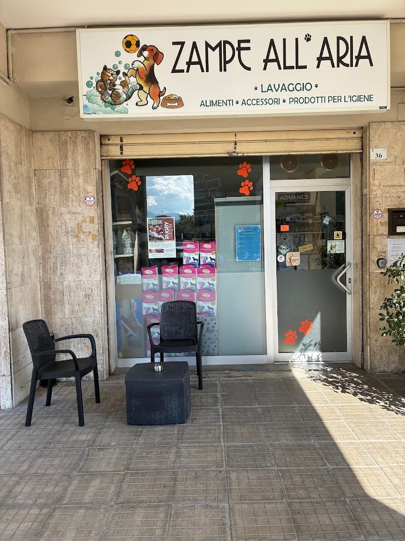 ZAMPE ALL’ ARIA - Foto 1