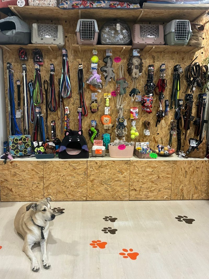 ZAMPE ALL’ ARIA - Foto 3