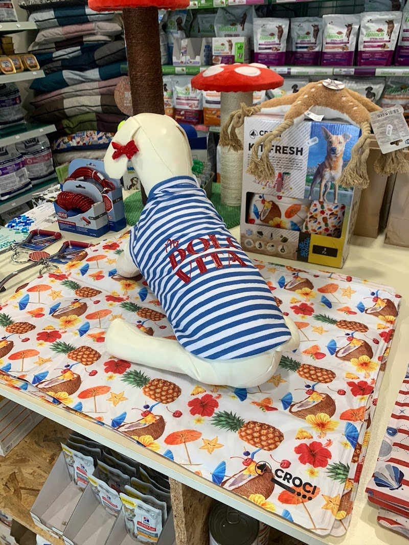 ZAMPE ALL’ ARIA - Foto 4