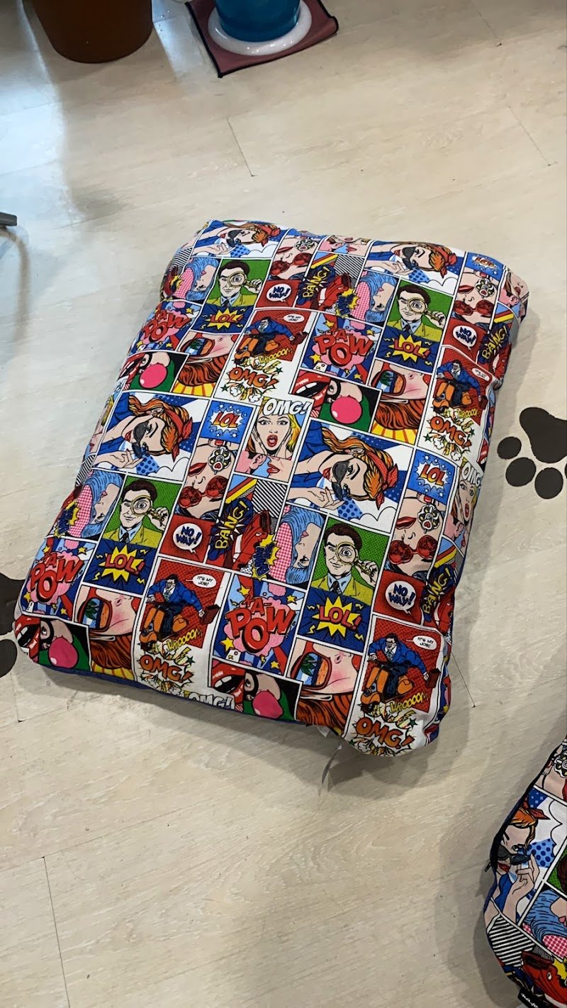 ZAMPE ALL’ ARIA - Foto 6