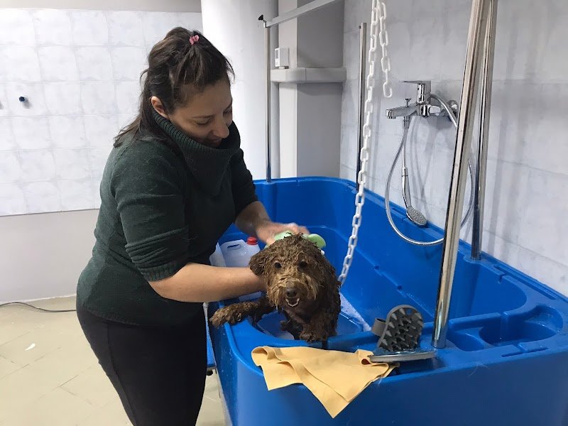 Zampe e Coccole di Pamela Cerminara - Foto 2