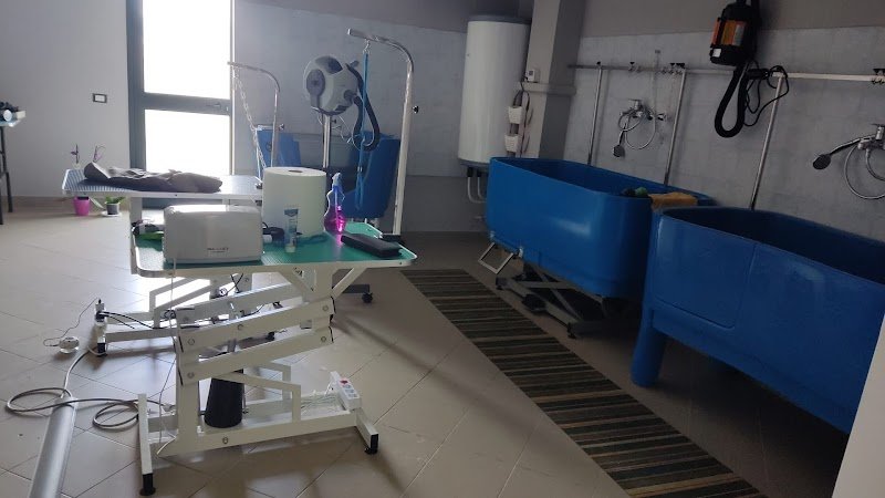 Zampe e Coccole di Pamela Cerminara - Foto 4