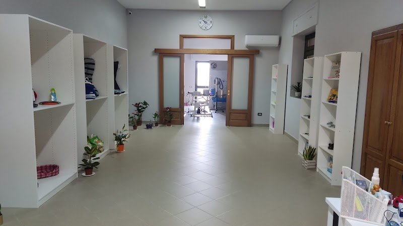 Zampe e Coccole di Pamela Cerminara - Foto 6