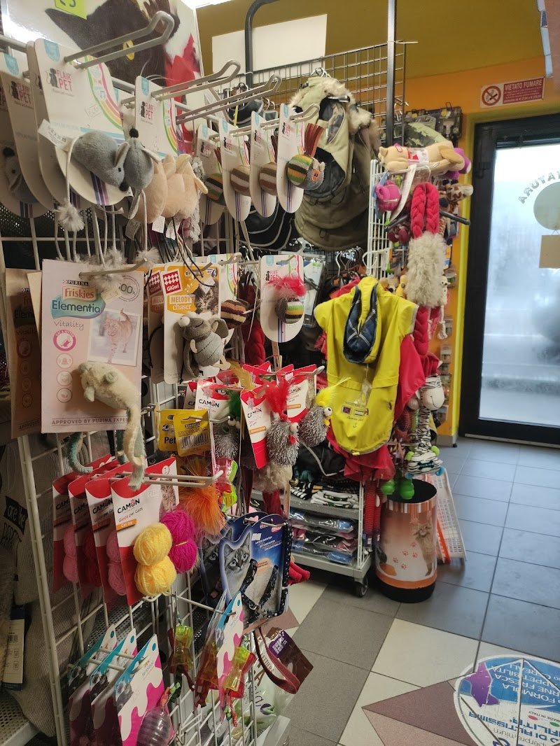 Zampe e Zampe - Foto 6