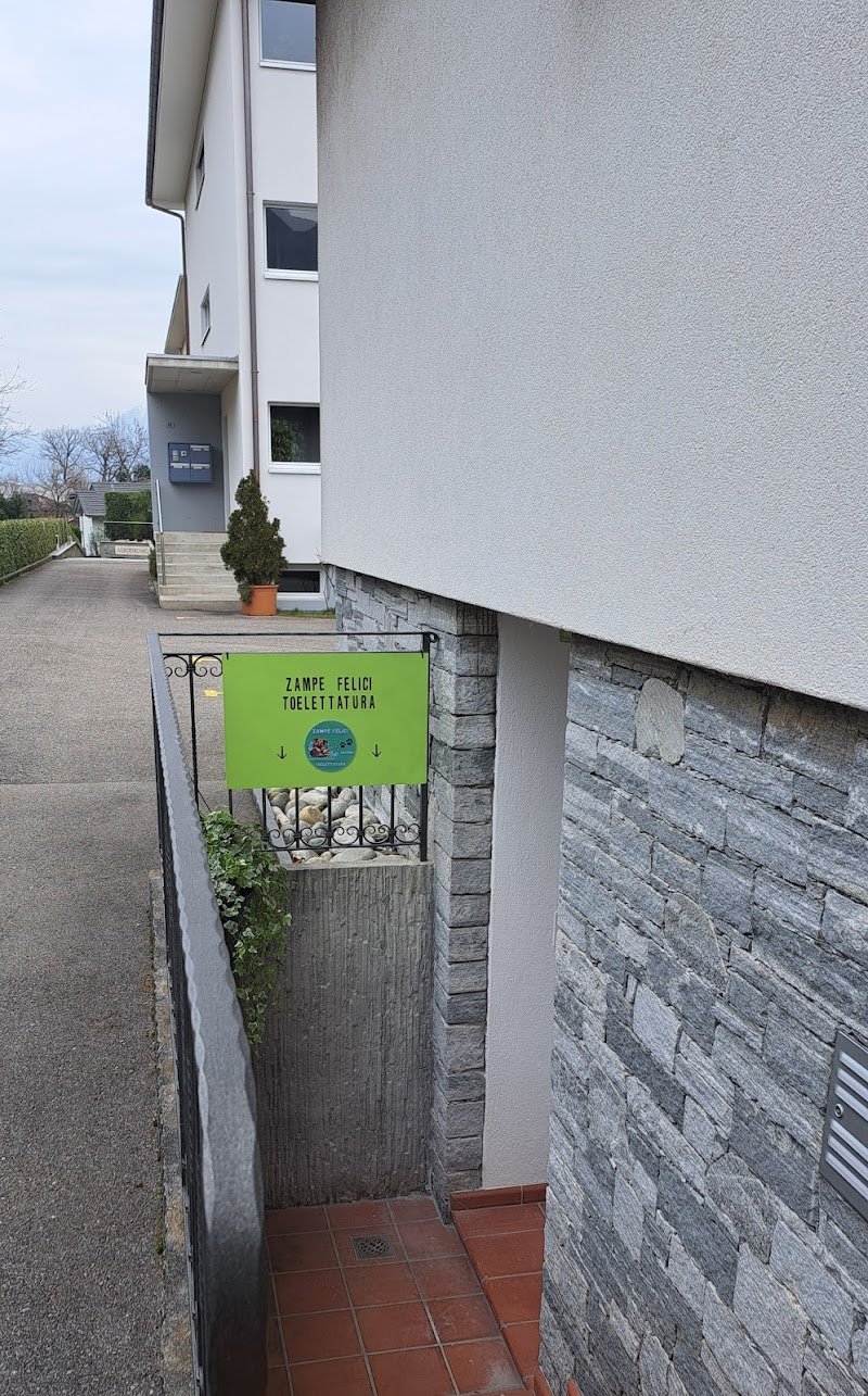 Zampe Felici Toelettatura - Foto 1