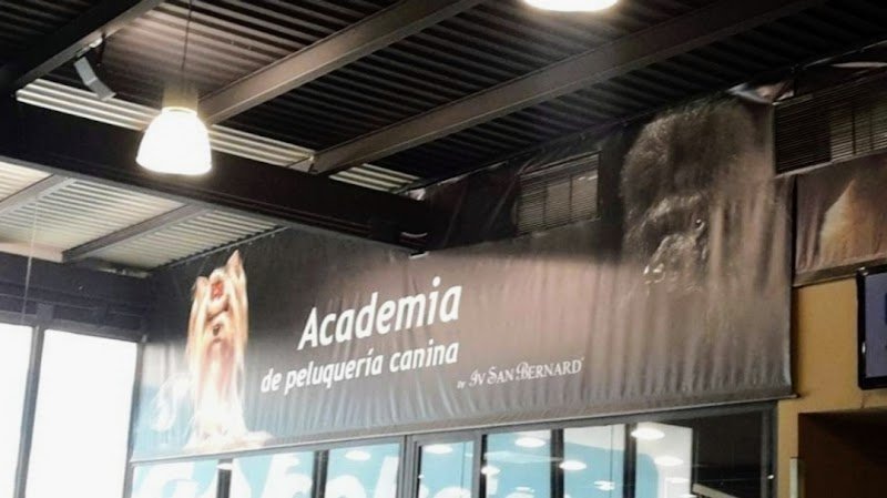 Zampe In Vaska - Foto 1