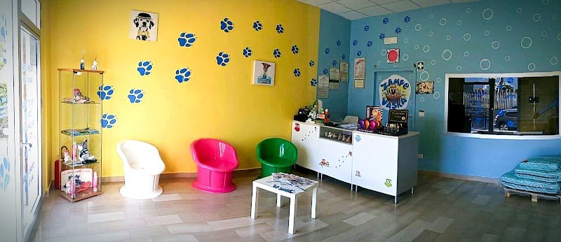 Zampe In Vaska - Foto 5