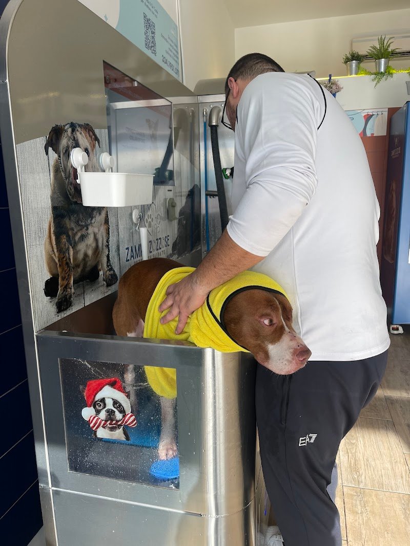 Zampe Zozzose pets wash fai da te - Foto 1