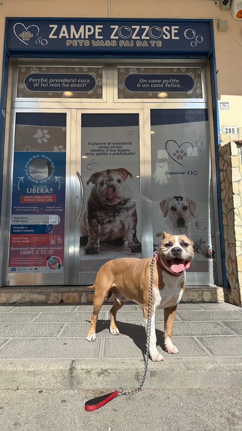 Zampe Zozzose pets wash fai da te - Foto 3