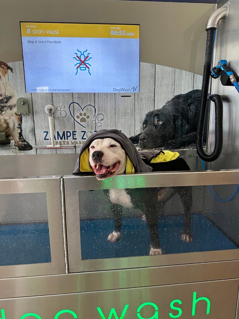 Zampe Zozzose pets wash fai da te - Foto 4