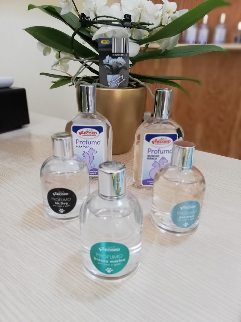 Zampettando Canicattì Sala toelettatura & Pet shop - Foto 5