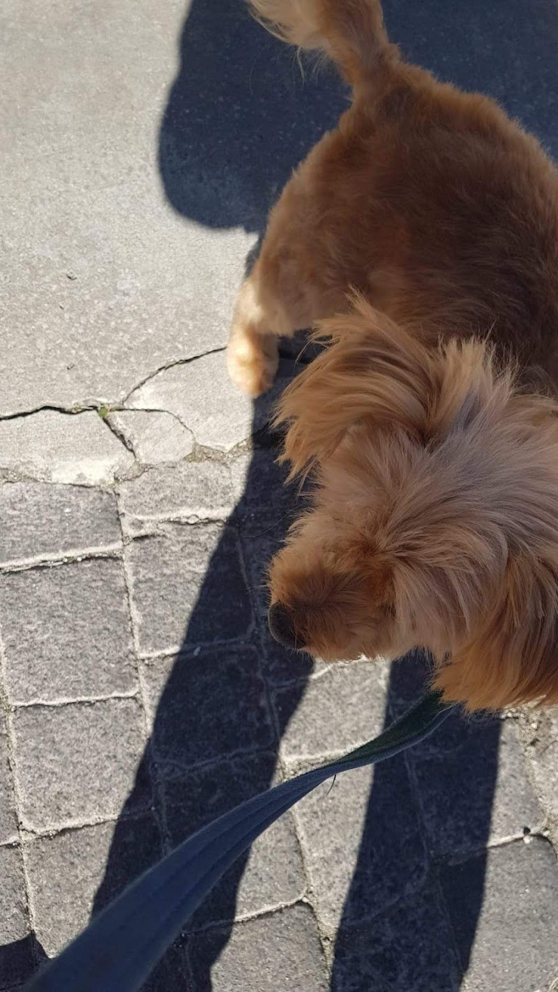 Zampettando Pet Shop - Foto 1