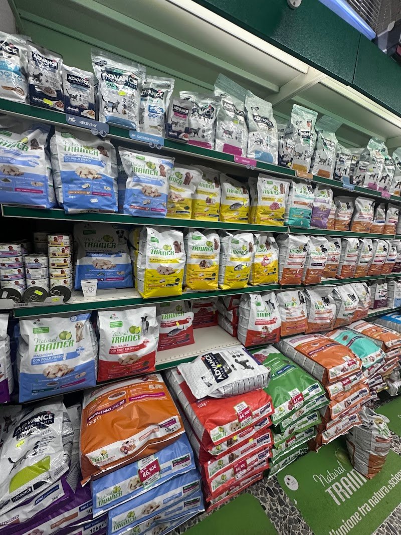 Zampettando - Foto 2