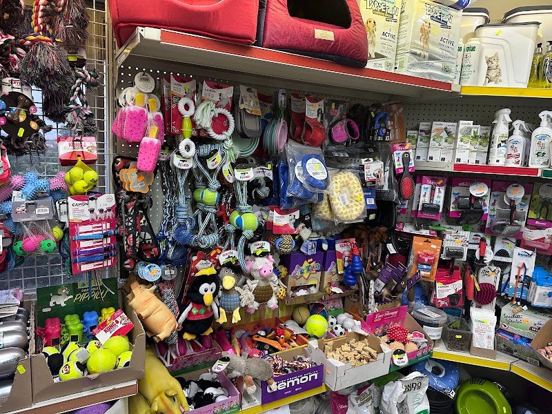 Zampettando - Foto 3