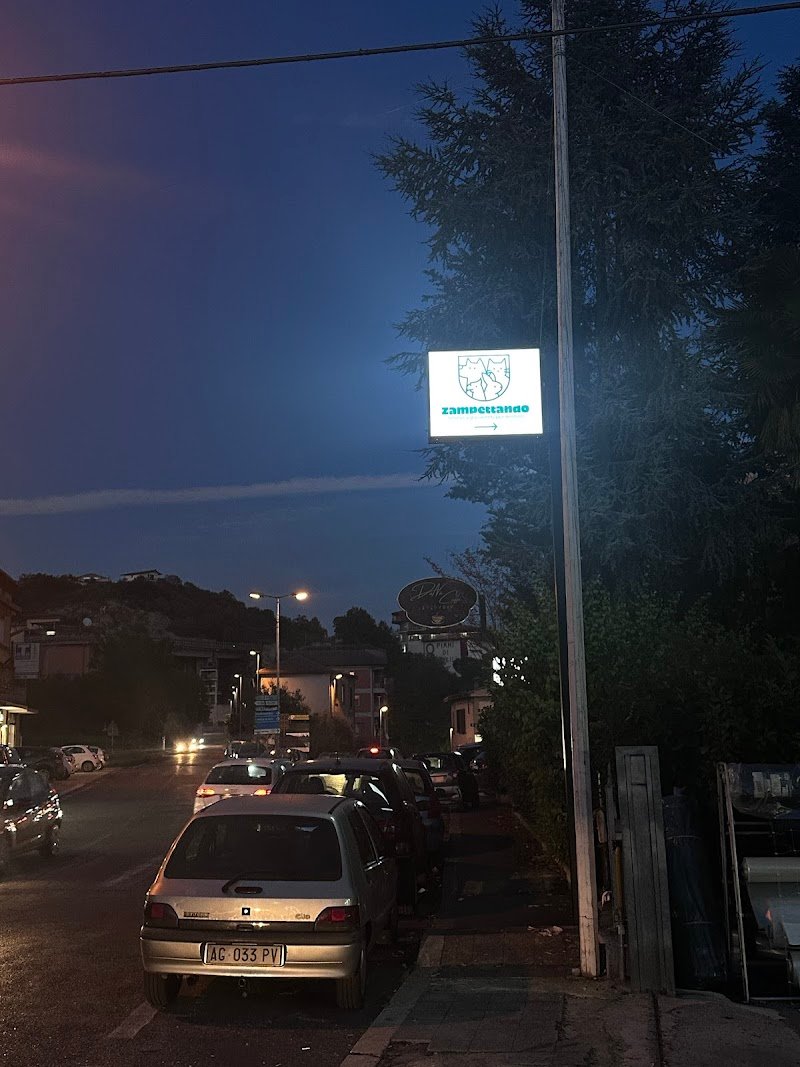 Zampettando - Foto 4